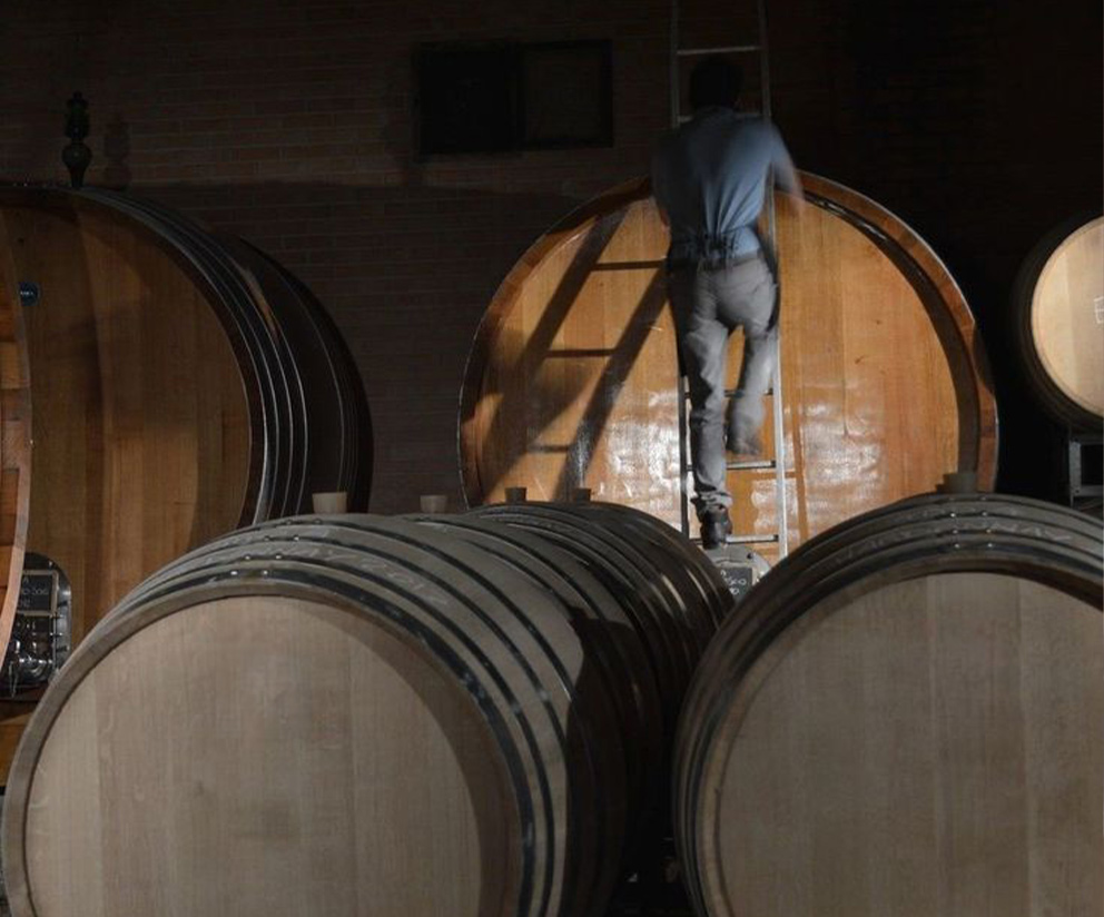 Wine Barrels